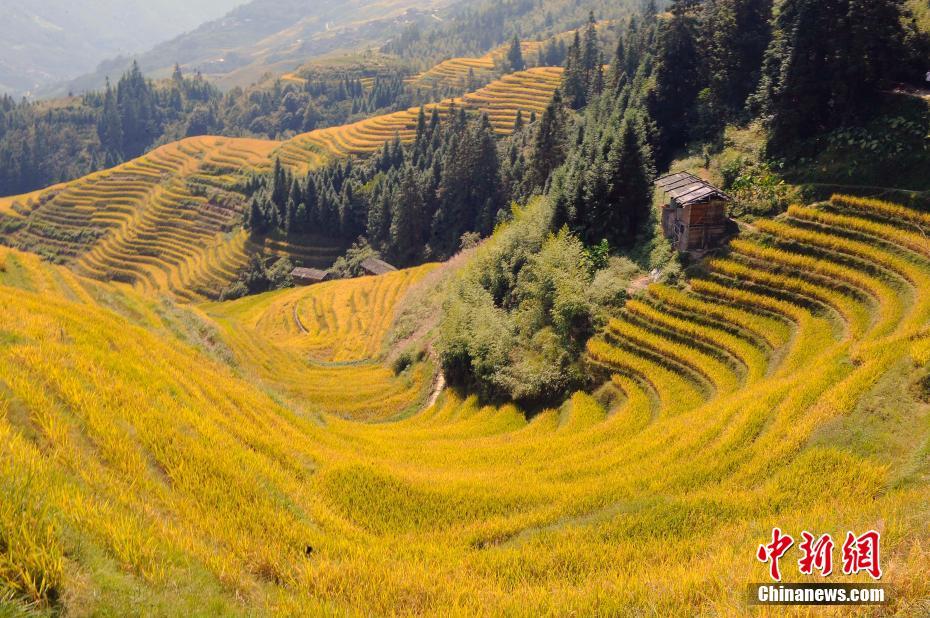最远的边陲什么地图种子粘土沙子比较多