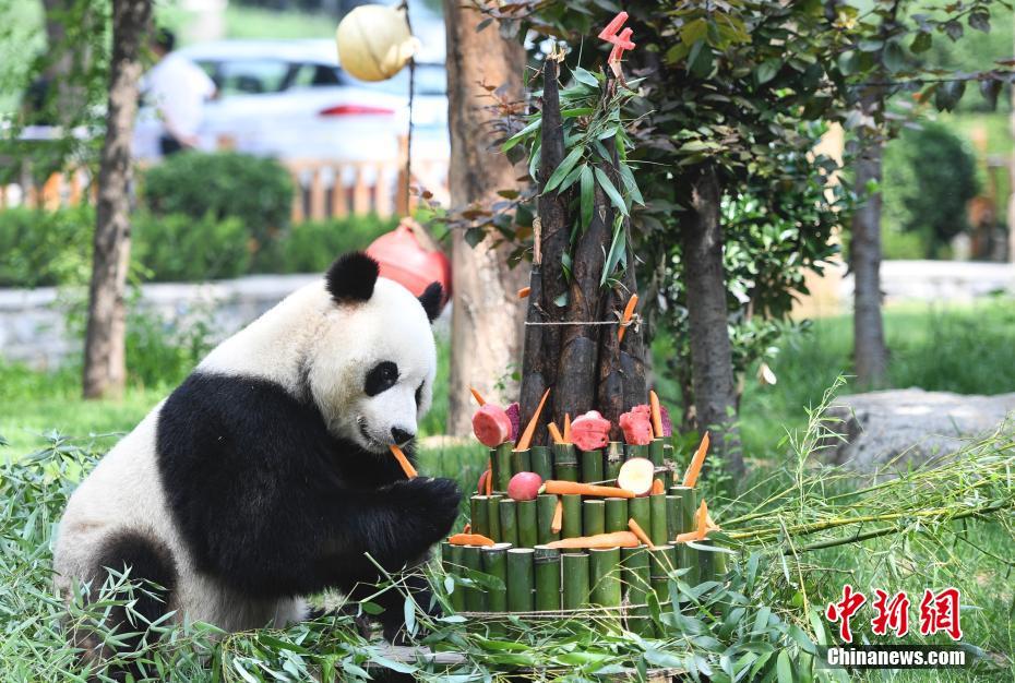 太吾绘卷地块什么情况可见