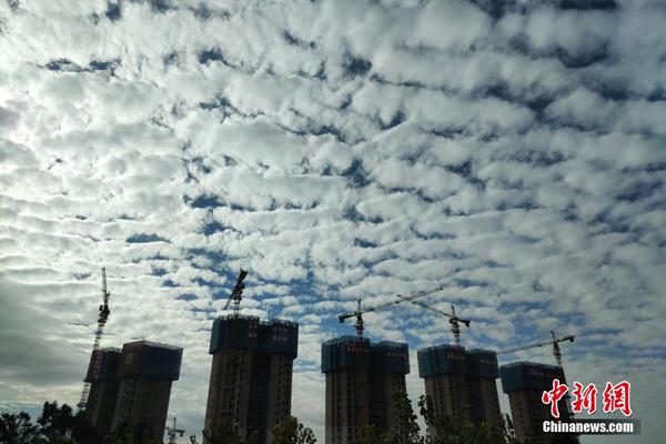 极限竞速地平线5怎么买比较便宜