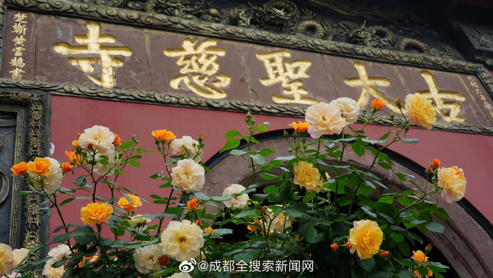 镇邪幻术鬼怎么打